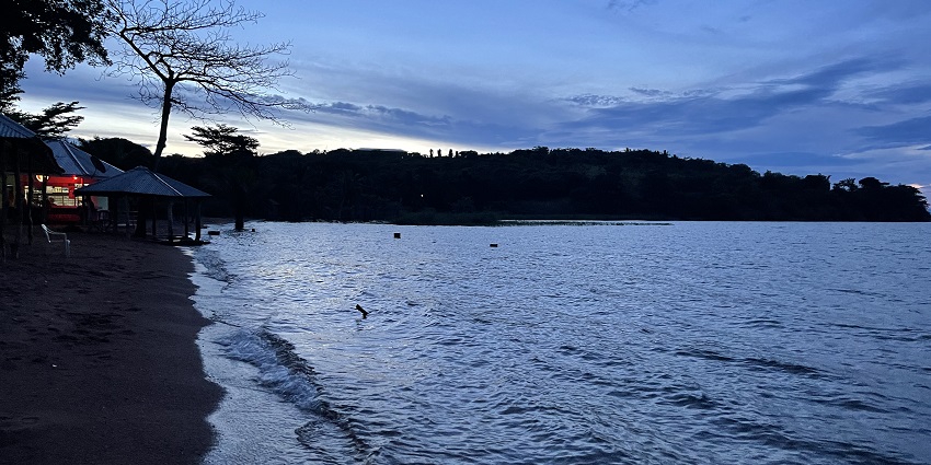 Bangwe beach at night with calm waterbody, a tree with no leaves and a distant shop