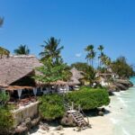 A beautiful beach with white sand, trees, beach chairs, and clear water surrounding it.