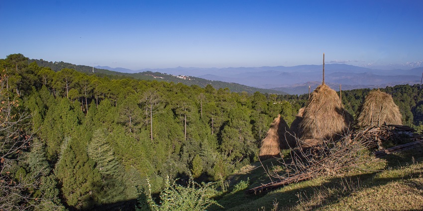 Ideal months for trekking in Kumaon are April to June and September to November.