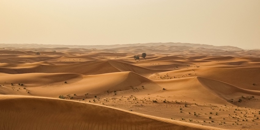 The best time to experience a desert safari in Doha is from November to March