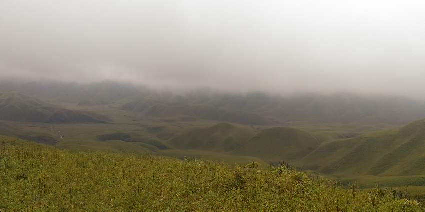 The best time to visit Dzukou Valley is between March to June and September to December