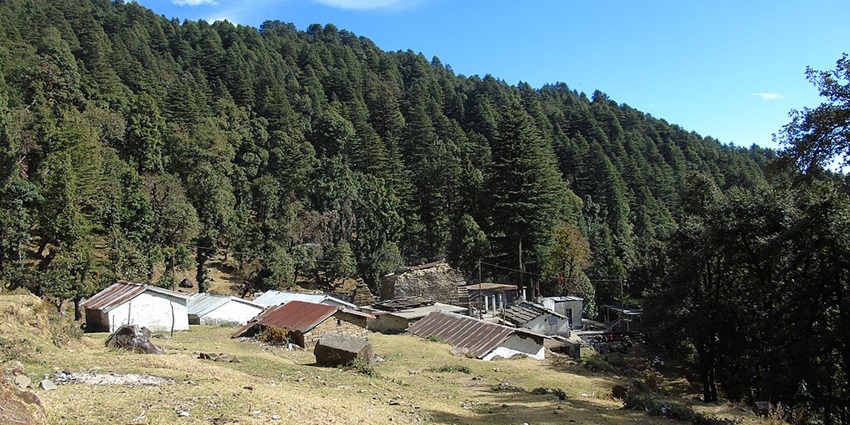 Beautiful image of the foothills of Himalaya in Binsar in Uttarakhad