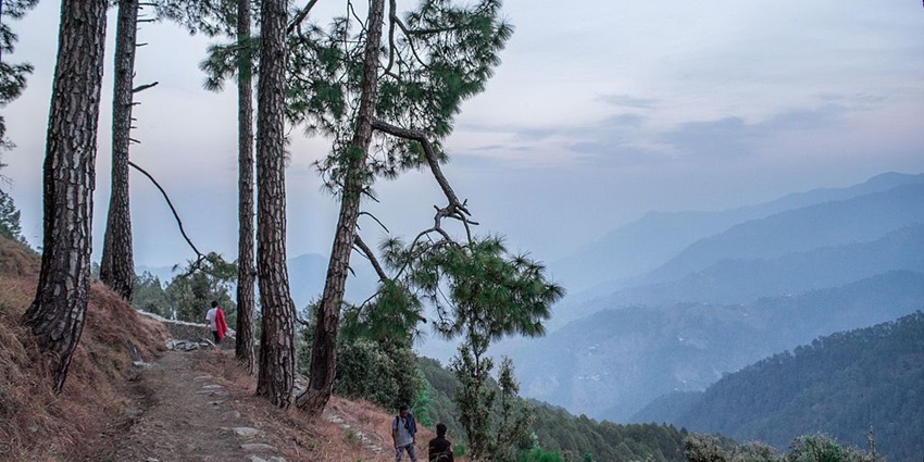 Snapshot of the Trek to the Binsar Sanctuary in Uttarakhand in India