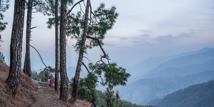 Binsar Trek renders breathtaking views of nature.