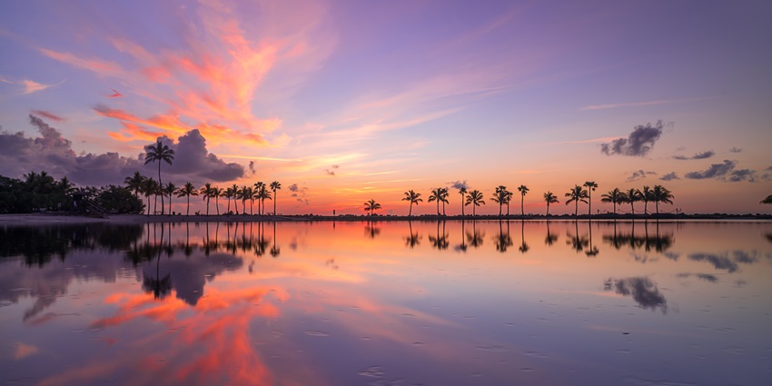 Birdwatching at the Matheson Hammock, one of the best things to do in Miami in October
