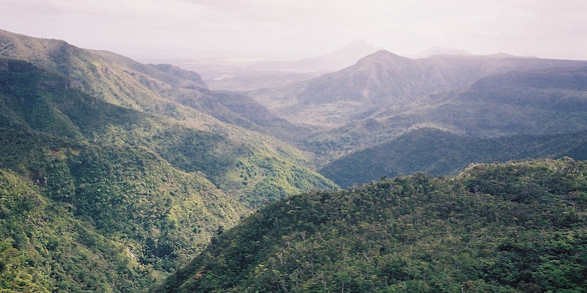 Black River Gorges National Park with mountains full of greenery under the bright sky.