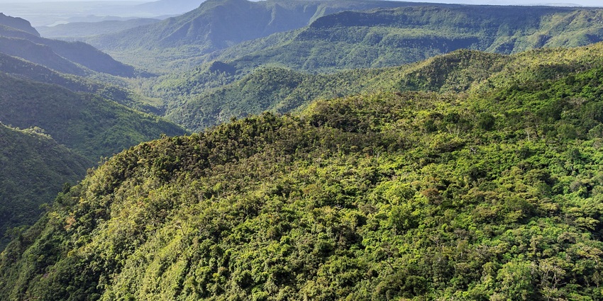 Hills and mountains of the Black River Gorges National Park are covered in greenery.