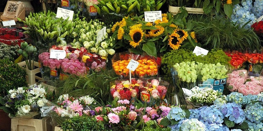 Amsterdam’s Bloemenmarkt, a pretty floating flower market.