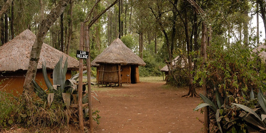 Luo village in bomas of kenya with huts made of mud, grass roof surrounded by greenery
