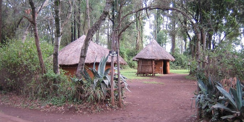 The Luo Village with traditionally covered hut among the lush greenery in the Bomas of Kenya.