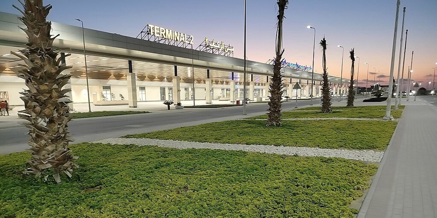 The Borg El Arab airport check-in area showing glass windows, people and palm trees