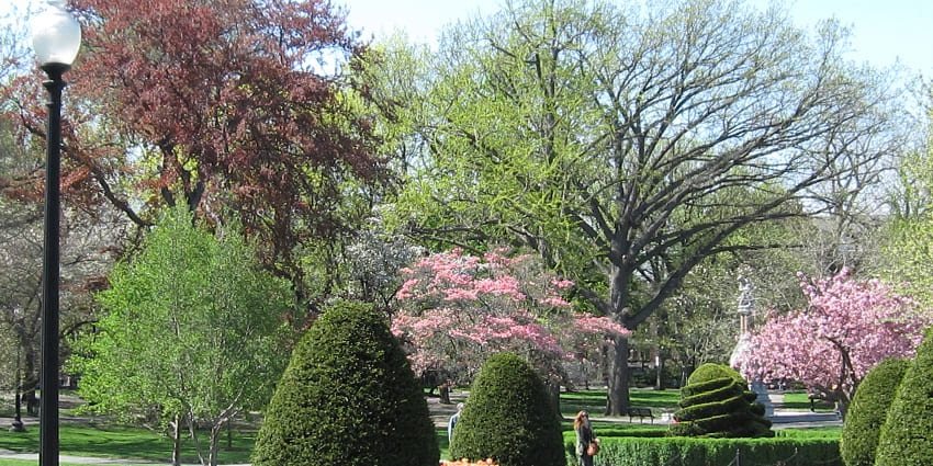 An image of the Boston Public Garden, featuring blooming flowers trees, and a pathway
