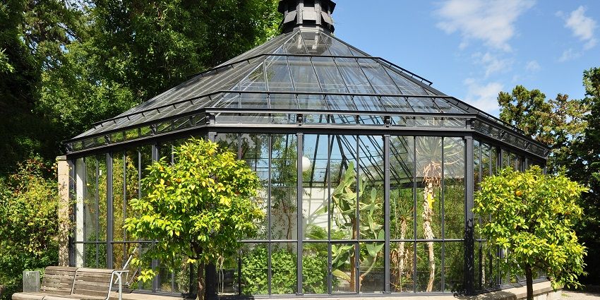 Discover peace among 15,000 plant species at Zurich's Botanical Garden, Zurich.