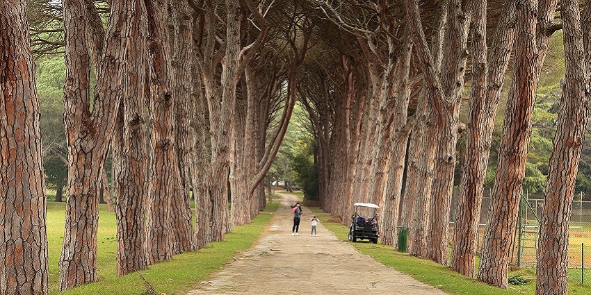 A picture of Brijuni National Park, which is one of the best places to visit in Croatia