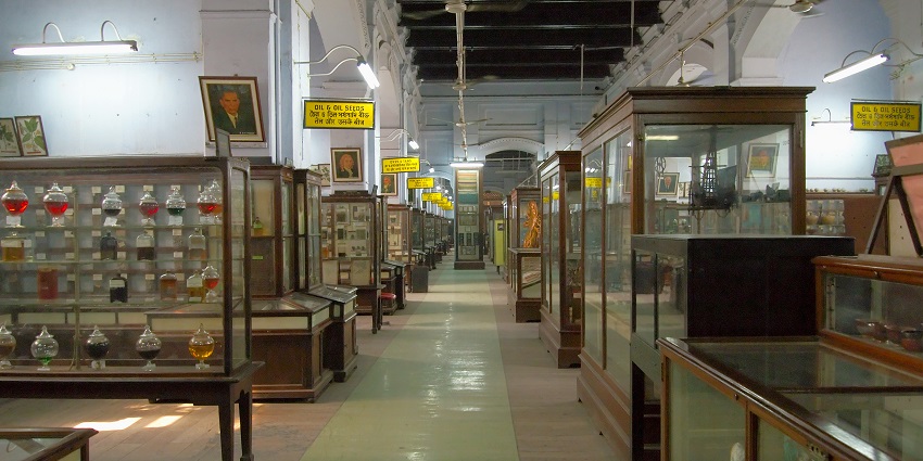 Image of the artefact in the Museum in the State of Aurangabad in Maharashtra, India