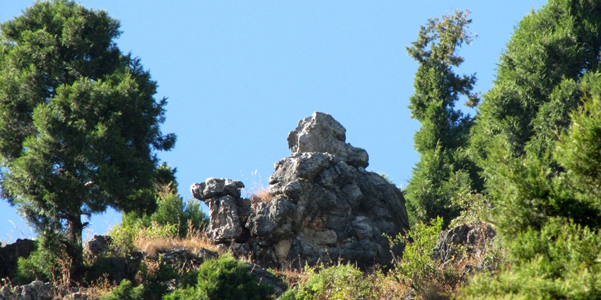 A picture of a camel-like rock structure on the side of a hilly road in Mussoorie