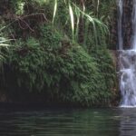 Discover the untouched beauty of Canacona Waterfalls, nestled in Goa’s lush greenery.