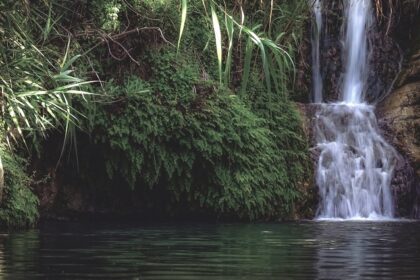 Discover the untouched beauty of Canacona Waterfalls, nestled in Goa’s lush greenery.