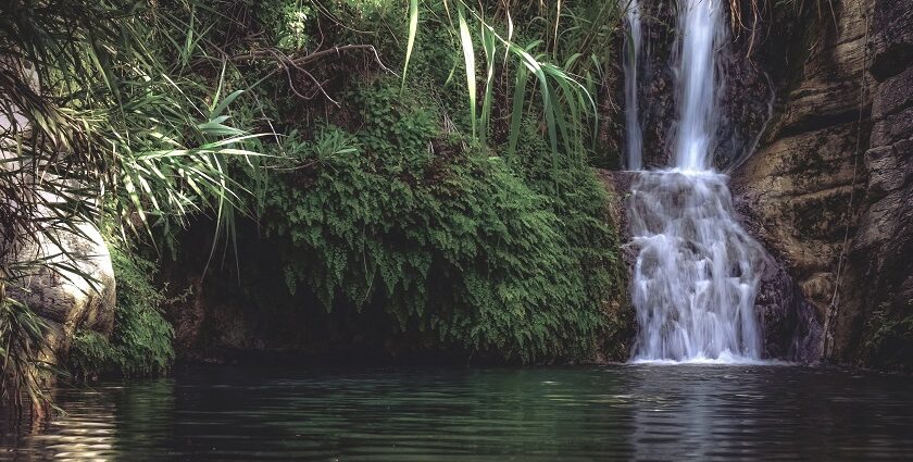 Discover the untouched beauty of Canacona Waterfalls, nestled in Goa’s lush greenery.