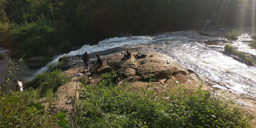 A picture of water cascading down in Catherine Falls which is located near Kotagiri.