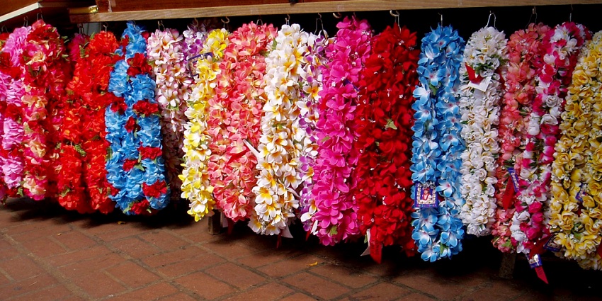 Colourful Leis, a traditional Hawaiian headwear made of flowers, hangs in a shop in Hawaii.