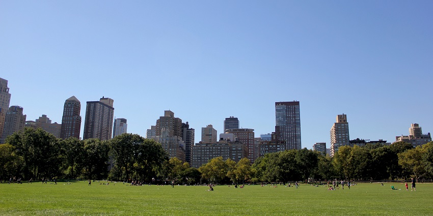 An image of Central Park with lush trees, a lake, and tall buildings in the background.