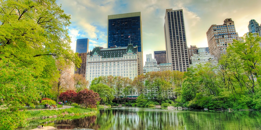 A view of Central Park in New York City with lush greenery, the best place near the MoMA Museum.