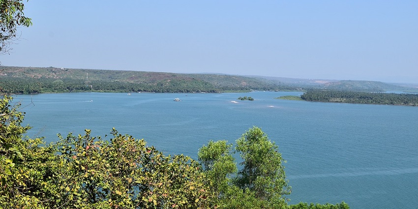 Kayaking down Goa's eco-rich Chapora River feels like stepping into a fairytale.