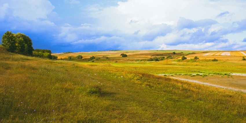Image of the field and Meadows in the Charekh Danda in Uttarakhand