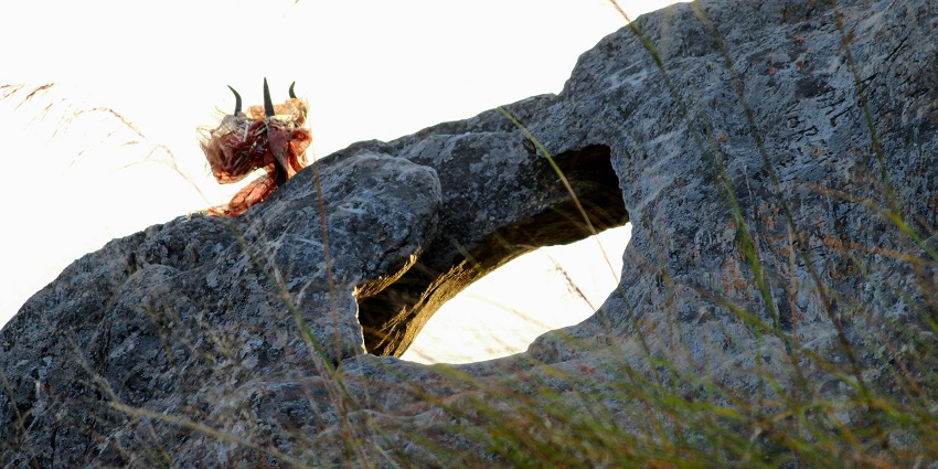 Places to visit in Mukhteshwar include Chauli ki Jali with views of the Kumaon Valley.
