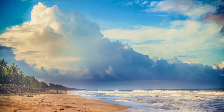 Scenic beach with golden sand and calm backwaters near Kochi, highlighted in Kochi travel guide.