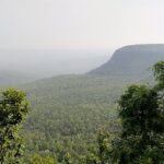 Image of flora of Chaiturgarh forest hills Korba - Chhattisgarh Travel Guide