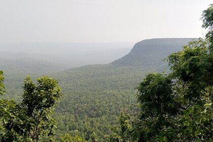 Image of flora of Chaiturgarh forest hills Korba - Chhattisgarh Travel Guide