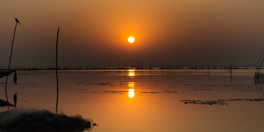 A flock of beautiful orange-winged migratory birds fly over the Chilika Lake, as suggested in the Odisha travel guide.