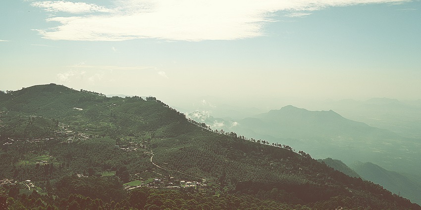 A panoramic view of Coaker's Walk, the perfect place to enjoy the cool breeze