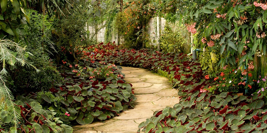 Company Garden offers an entirely different experience with a serene, illuminated landscape.