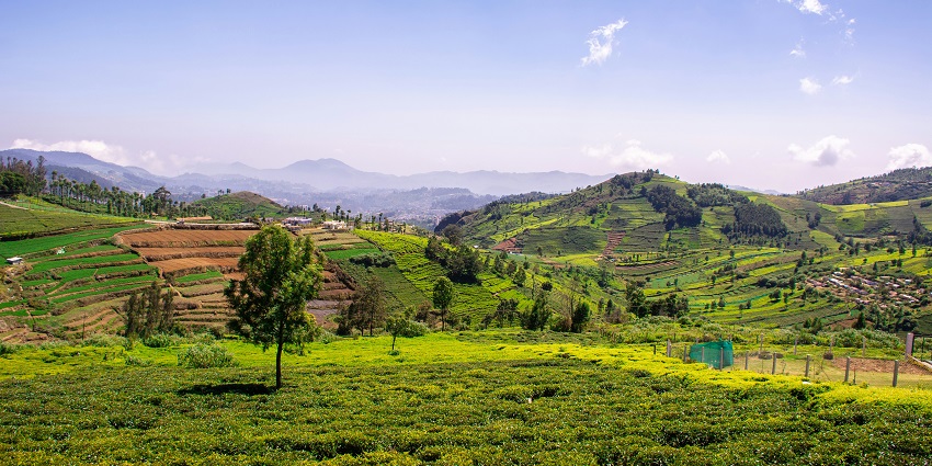 Scenic green mountains and verdant valleys in Coonoor provides respite from the busy life.