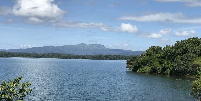 A view of serene waters at a lake in Harangi Elephant Camp and Tree Park in Coorg, Karnataka.