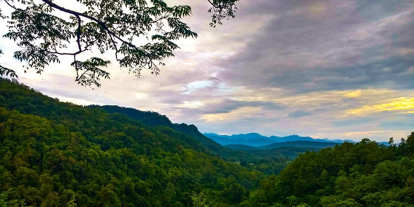 Dehradun is a marvellous place for travellers to explore for stunning views.
