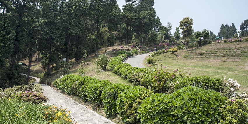 The scenic view of Deolo Hill, a place surrounded by serenity.
