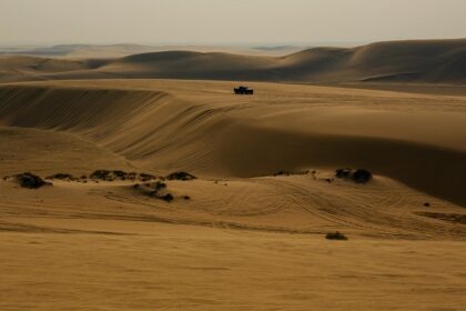 Desert Safari in Doha offers thrilling dune bashing, camel rides, and cultural experiences