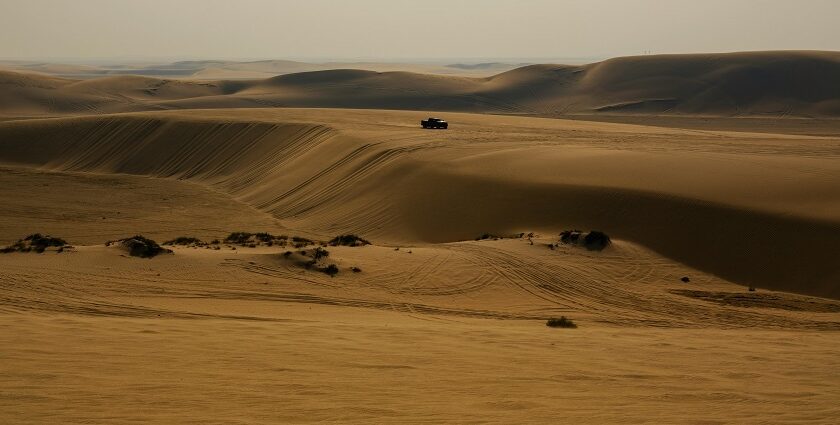 Desert Safari in Doha offers thrilling dune bashing, camel rides, and cultural experiences