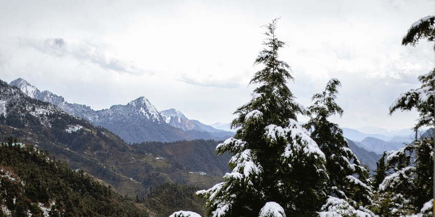Dhanaulti is a mesmerising attraction in Uttarakhand for travellers to explore.
