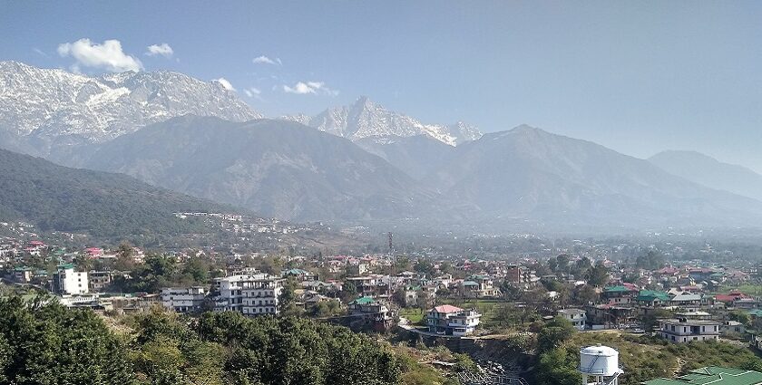 This Dharamshala travel guide provides details about the Tibetan culture, monasteries, and serene landscapes.