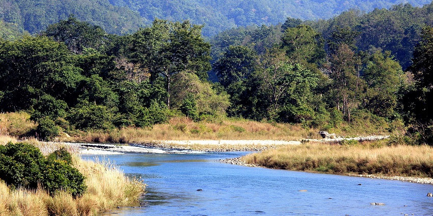 This Jim Corbett National Park trip plan includes wildlife sightings and safaris