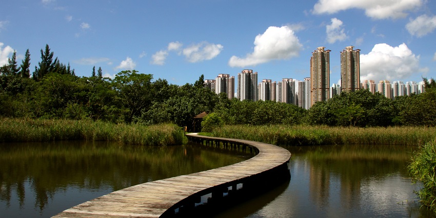 Discovering the Hong Kong Wetland Park is one of the best things to do in Hong Kong.