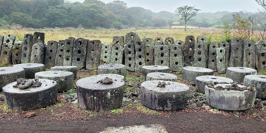 Explore Jeju Stone Park's unique cultural exhibits and natural beauty, top things to do in Jeju Island.