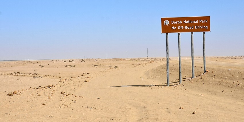 Landscape of an African national park showing barren trees, sand and sand dunes