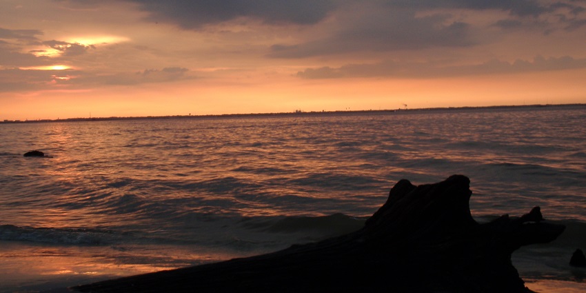 Driftwood Beach, with a broken tree on the shore, has turned orange due to a vibrant sunset