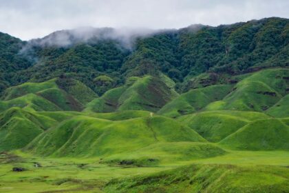 The Dzukou Valley travel guide highlights the panoramic view of the valley with lush greenery